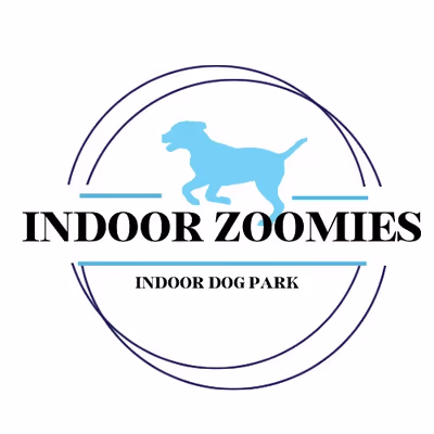 Indoor Zoomies